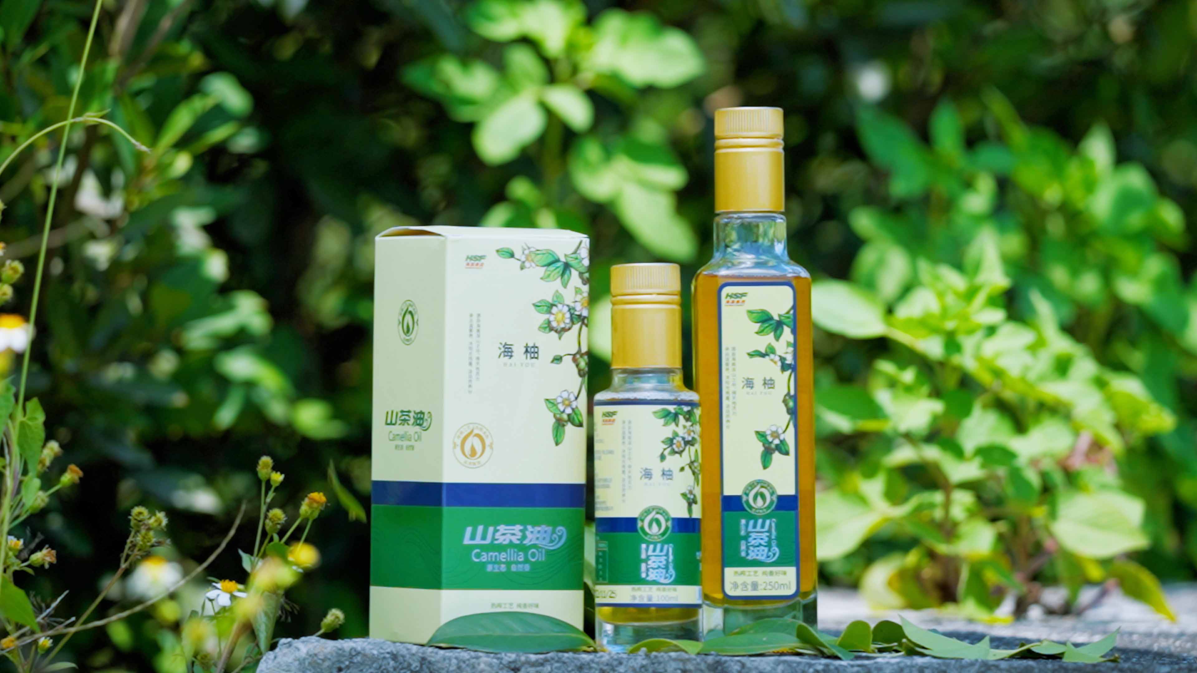 Z6尊龙凯时乐香山茶油